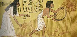 L’Alimentazione nell’Antico Egitto con Pietro Testa e Leonardo Paolo Lovari – Podcast
